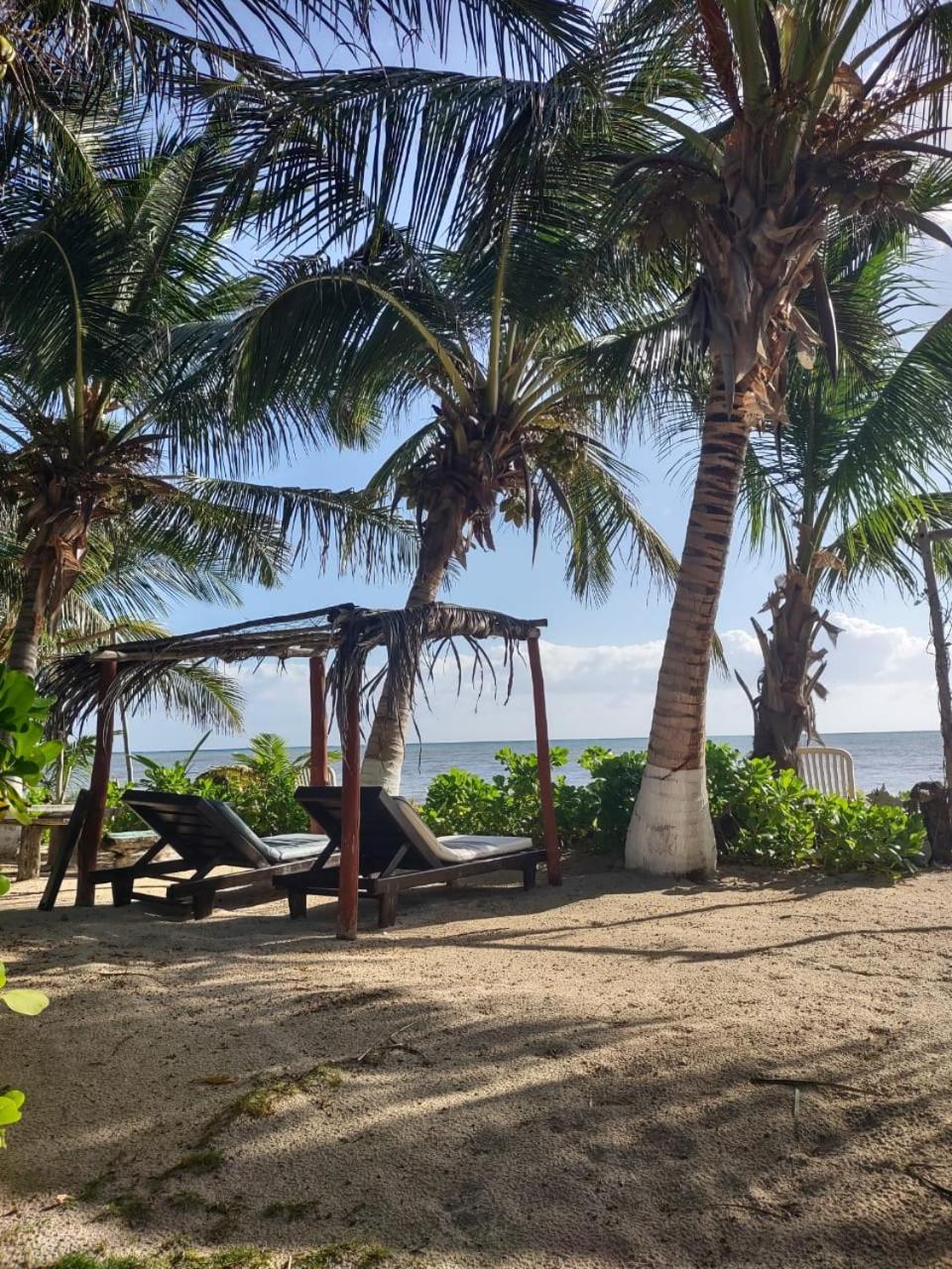 Lunazul Eco-Cabana Frente Al Mar Mahahual Exterior foto